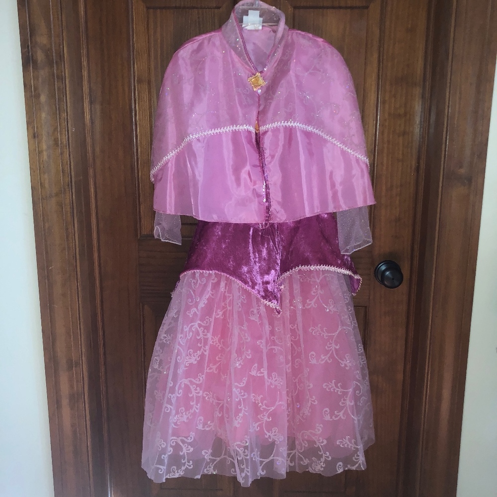 Princess Aurora Costume